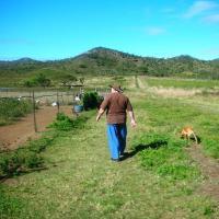 Voyage sur-mesure, A la ferme...